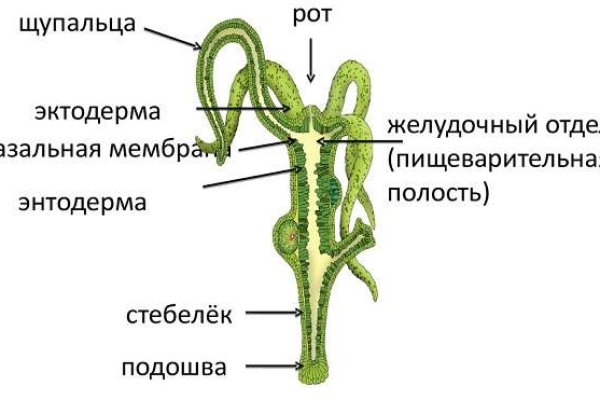 Кракен шоп даркнет