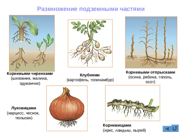 Как войти на сайт кракен